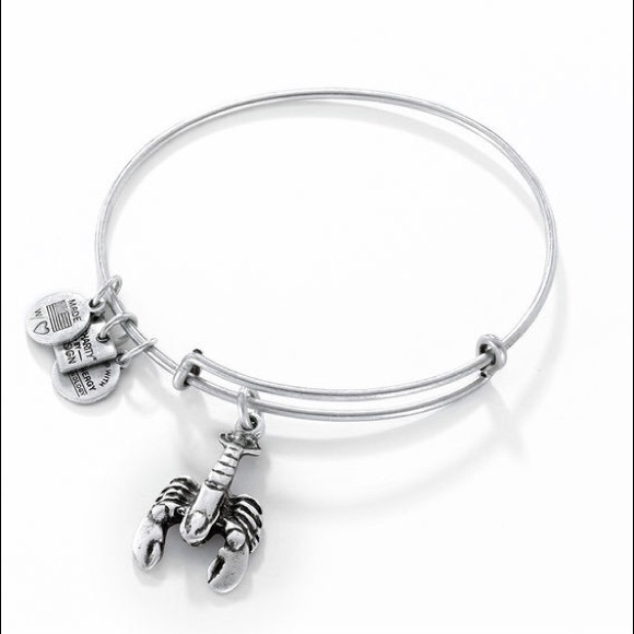 Alex and Ani Jewelry - Alex and Ani Lobster Charm Bangle in Silver-Tone